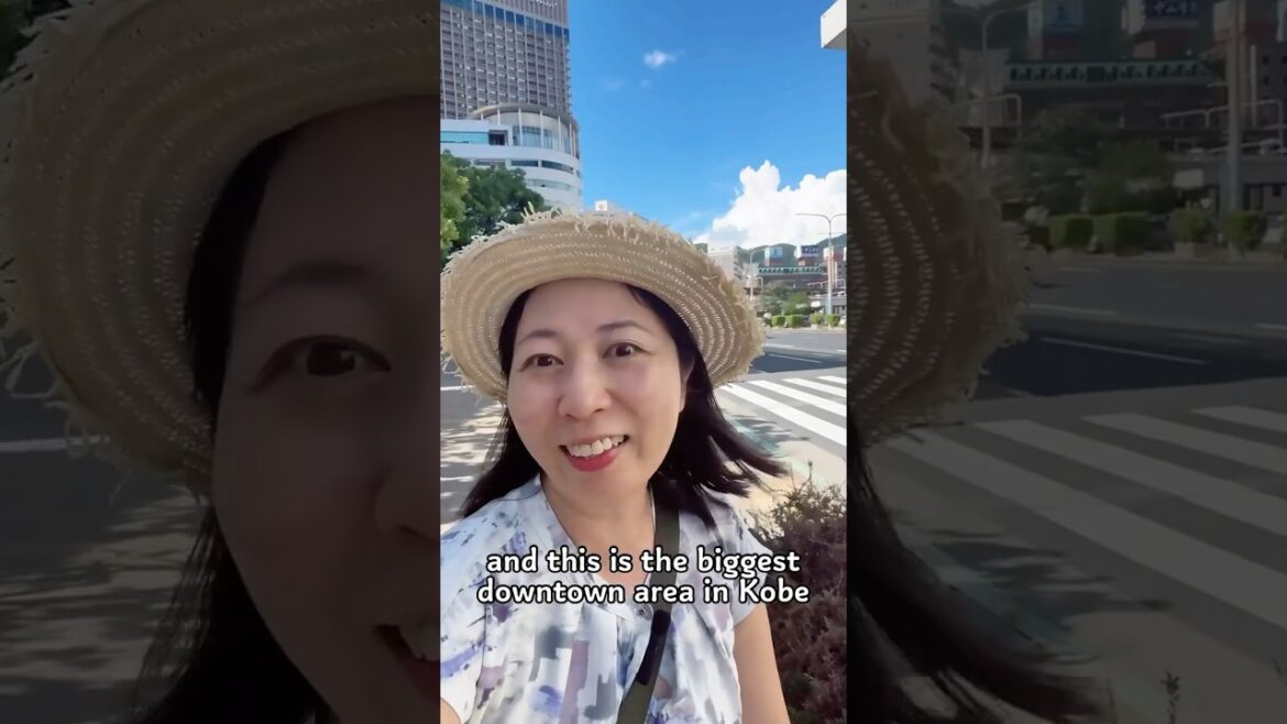 Introducing DownTown area in Kobe ~Sannomiya & Motomachi