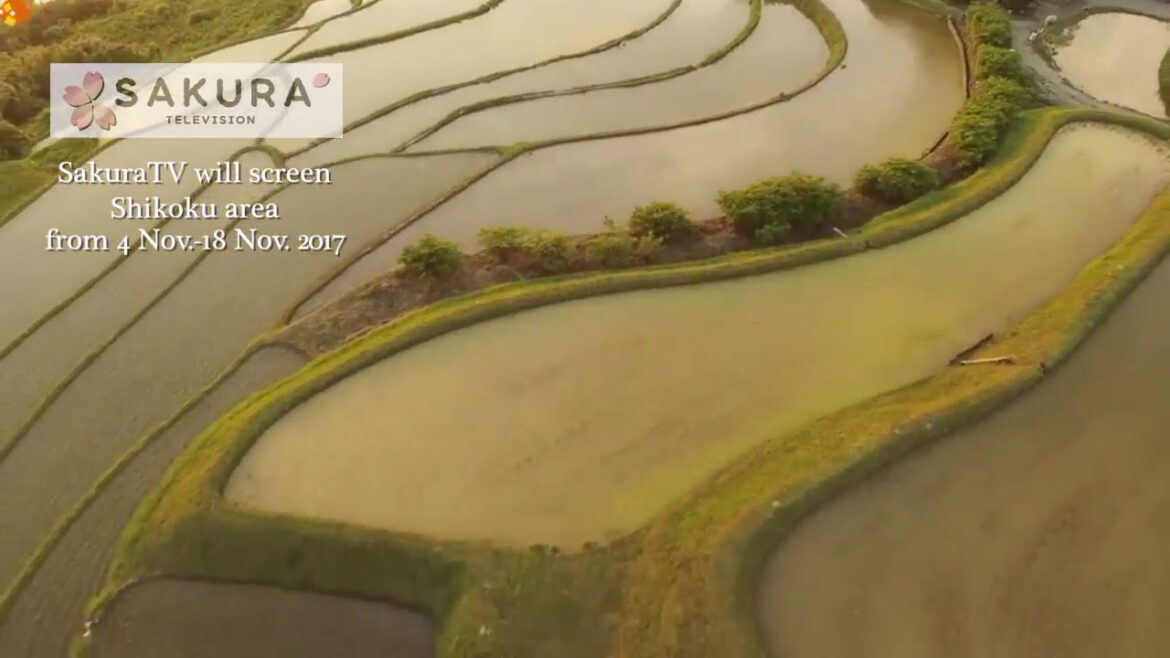 Shikoku ( 4 prefectures ) Island from 4 November 2017 Shikoku ( 4 prefectures ) Island from 4 November 2017