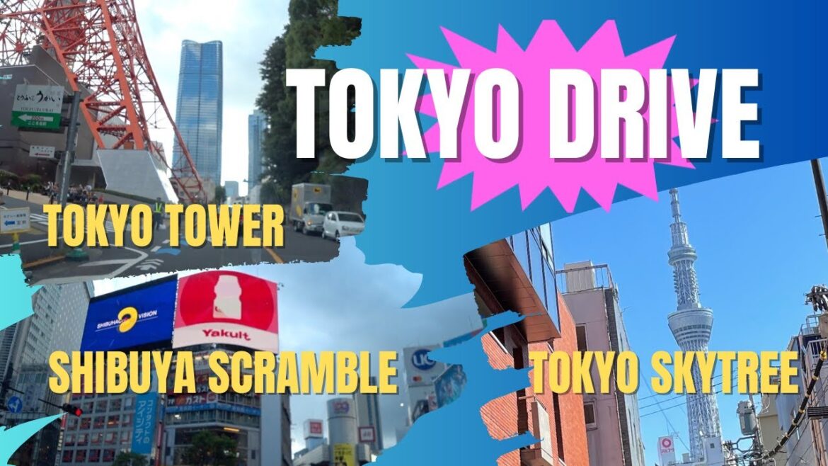 TOKYO Quick Tour: Shibuya Scramble, Tokyo Tower, Tokyo Skytree