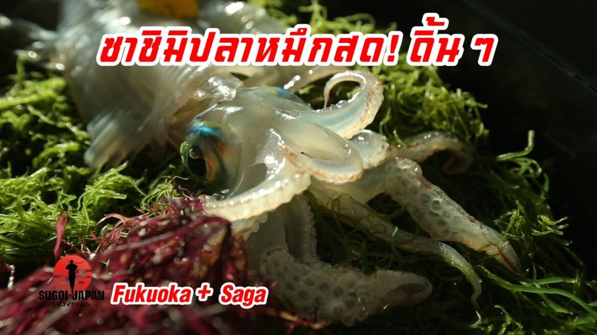 กินซาซิมิปลาหมึกสด ๆ ดิ้น ๆ SUGOI JAPAN Ep167 ( Fukuoka + Saga ) กินซาซิมิปลาหมึกสด ๆ ดิ้น ๆ SUGOI JAPAN Ep167 ( Fukuoka + Saga )