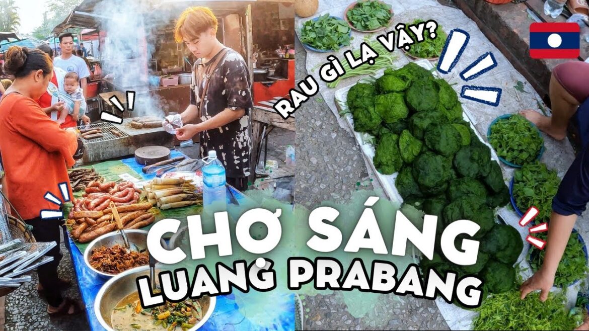 🇱🇦 Đi Chợ sáng ở Luang Prabang – Sản vật địa phương đặc sắc | Du lịch Tự Túc Lào 2023 • Tập 6 🇱🇦 Đi Chợ sáng ở Luang Prabang - Sản vật địa phương đặc sắc | Du lịch Tự Túc Lào 2023 • Tập 6
