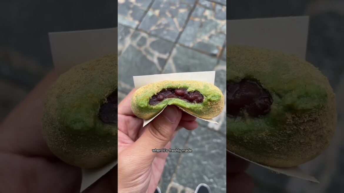 BEST FRESH MOCHI in JAPAN