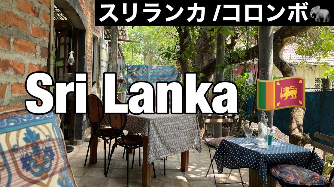 Sub【🇱🇰スリランカ Vlog】スリランカ ネゴンボ観光 | スパセイロン| アーユルヴェーダ | 客室乗務員のステイ先vlog Sub【🇱🇰スリランカ Vlog】スリランカ ネゴンボ観光 | スパセイロン| アーユルヴェーダ | 客室乗務員のステイ先vlog