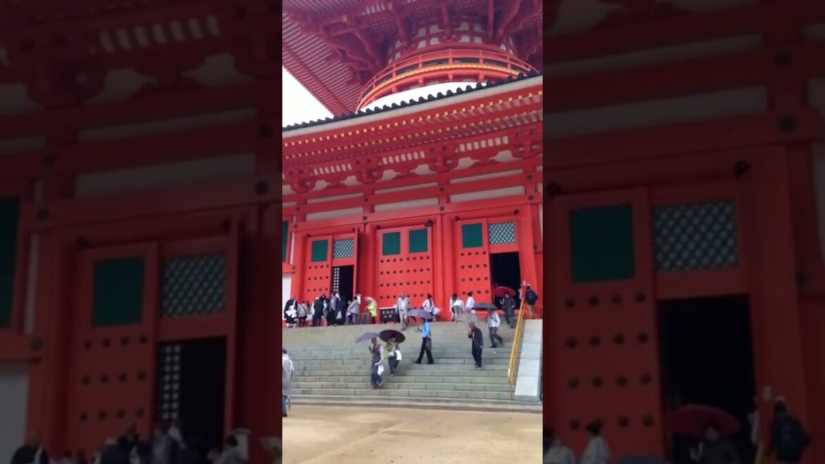 This beautiful view of Mount Koya – Koyasan  #Japon #Japan #shorts #budismo #osaka #koyasan This beautiful view of Mount Koya - Koyasan  #Japon #Japan #shorts #budismo #osaka #koyasan