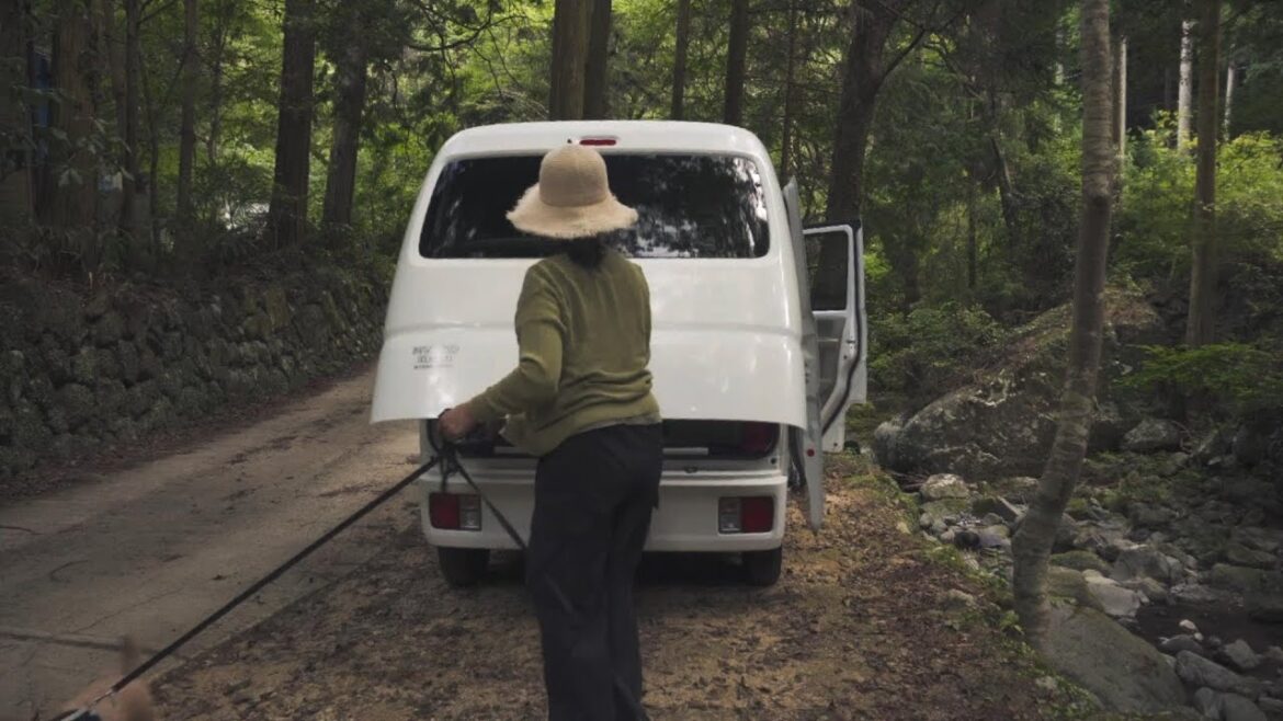 【車中泊キャンプ】夏の声と木々のタペストリーの中で|仲間とリラックス 【車中泊キャンプ】夏の声と木々のタペストリーの中で|仲間とリラックス