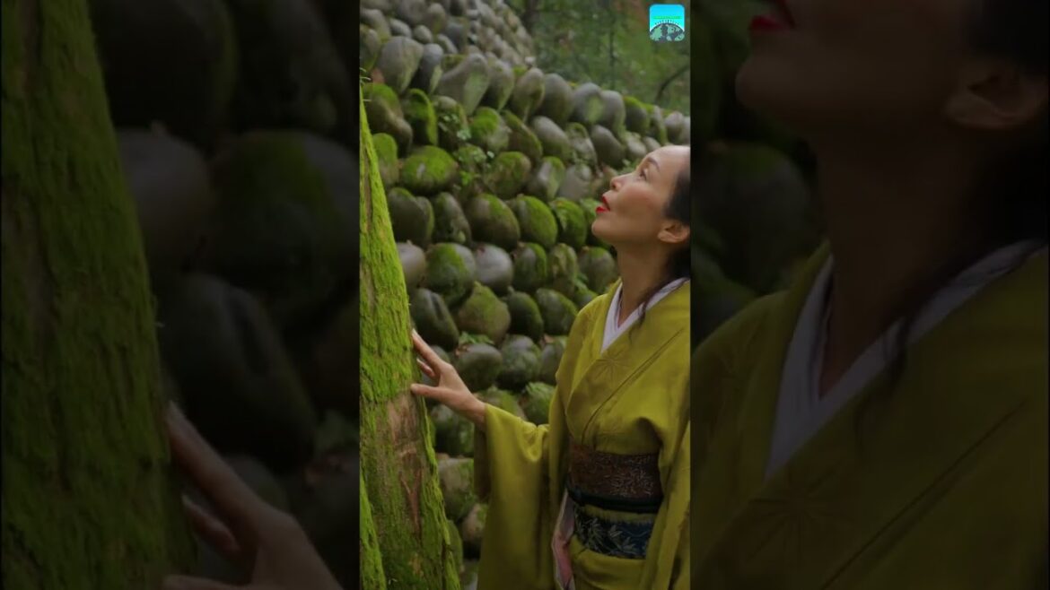 Why Japan is a must travel destination