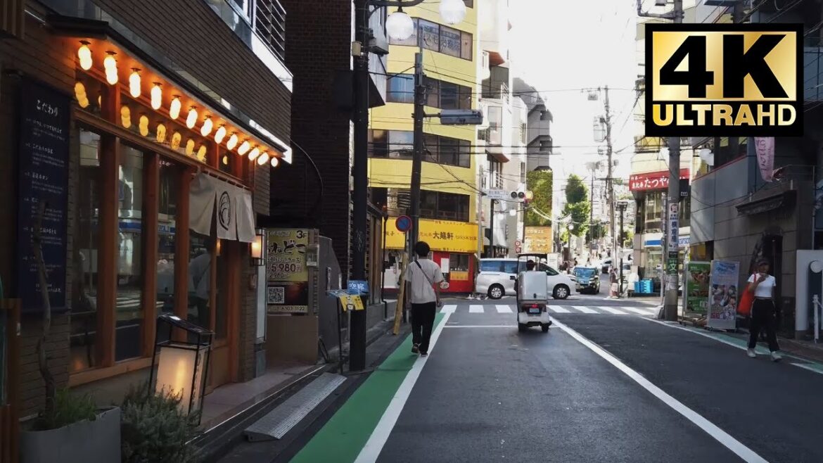 【東京】Tokyo 4k walking tour   | Evening Time | Travel | ASMR | Japan Virtual Tour