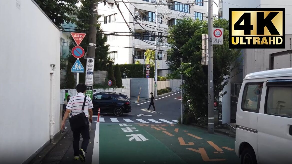 【東京】 Tokyo 4k walking tour | Travel | ASMR