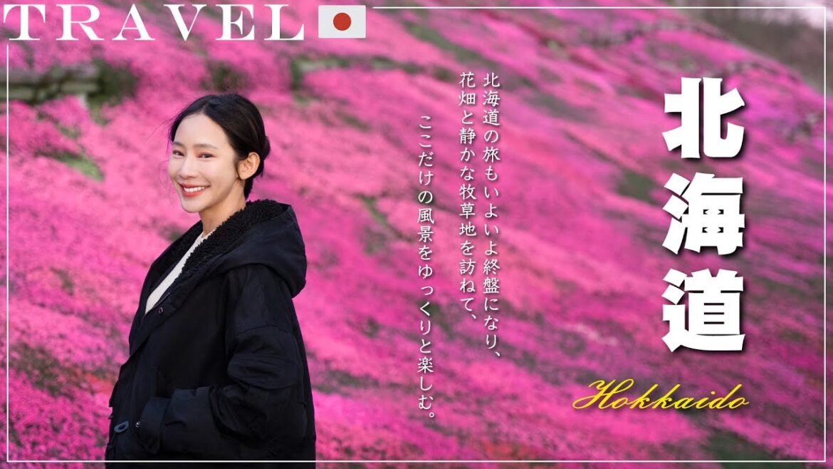 【北海道🇯🇵公路旅行Ep.4】札幌拉麵馬拉松🍜｜日本百選道路：二十間道路｜北海道神宮｜ 富良野🐻熊肉初體驗｜長在地上的櫻花🌸瀧上芝櫻 ｜北海道飯店住宿｜十勝🐄橋本牧場｜NinaWen Travel