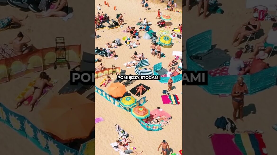 Gdzie znajduje się plaża naturystów w Gdańsku? #stogi #plaza #ciekawostka