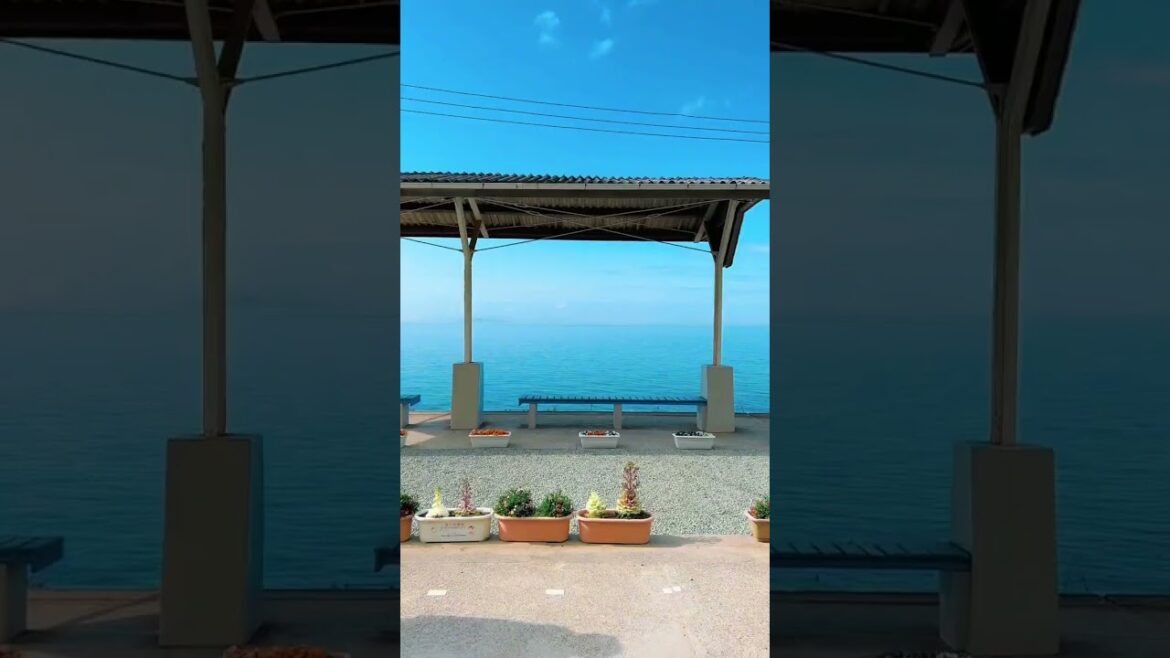 Hello Japan !!! #travel #youtubeshorts #adventure #explore #relaxing #nature