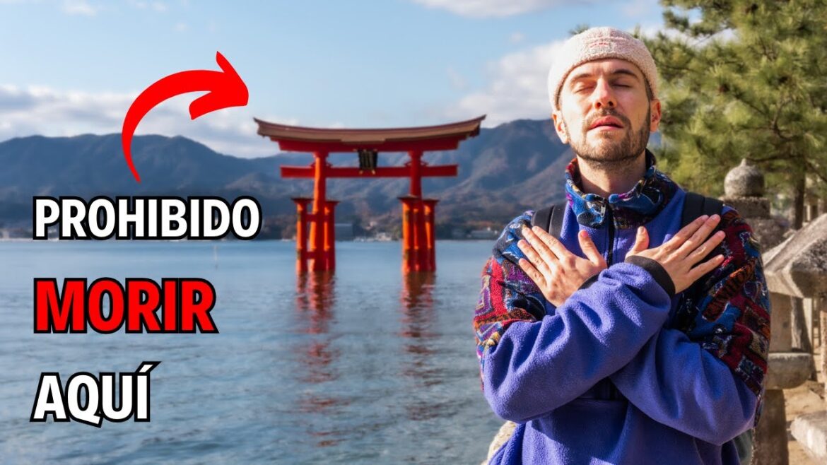 MIYAJIMA: La isla SAGRADA de JAPÓN 🇯🇵 Vlog 2