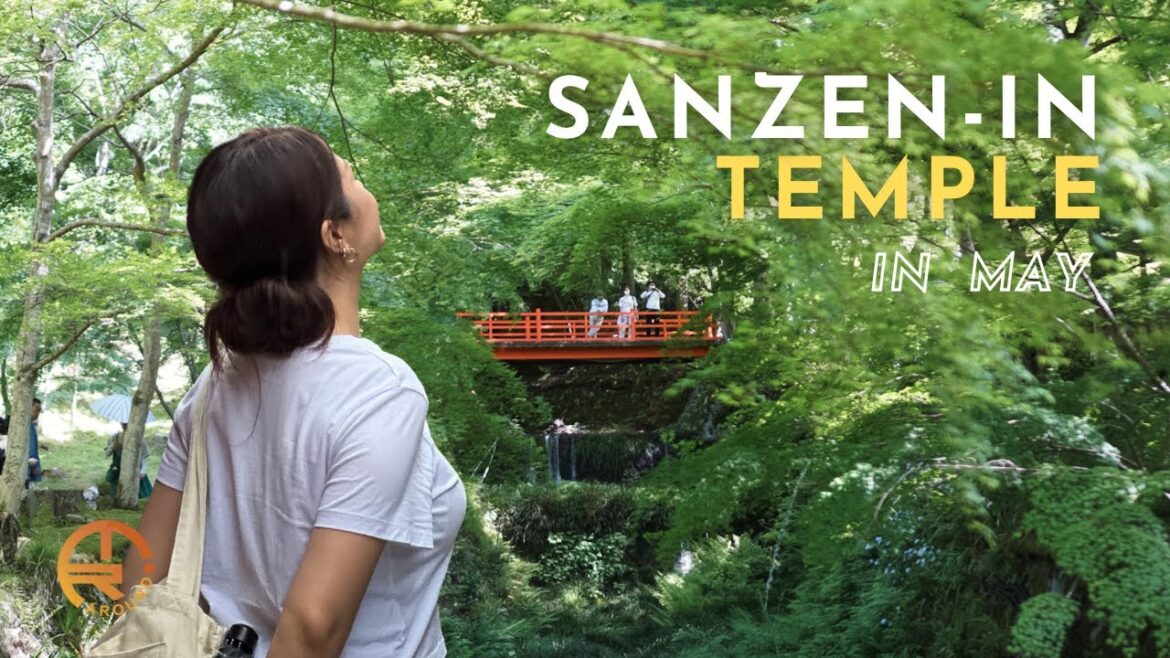Sanzen-In Temple in May: A Glimpse of Fabulous Greenery ┃ Japan Travel Sanzen-In Temple in May: A Glimpse of Fabulous Greenery ┃ Japan Travel