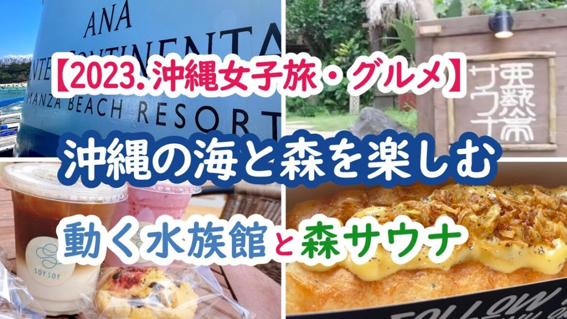 【2023沖縄女子旅】海の動く水族館｜沖縄森サウナ｜くまラテ｜ホットドック｜沖縄家庭料理店