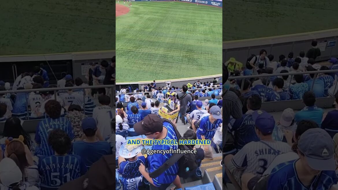 Japan Baseball Game | Yokohama BayStars