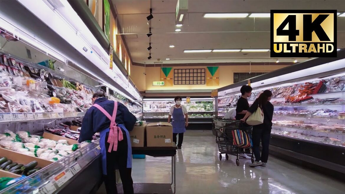 【東京】Tokyo Grocery Shopping 4K |  Walk | Travel | ASMR | Life in Japan