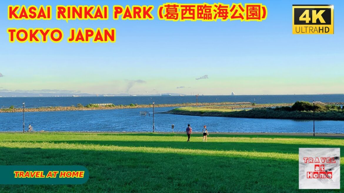4k hdr japan travel |Walk in Kasai Rinkai Park (葛西臨海公園) Tokyo japan | Relaxing Natural City ambience