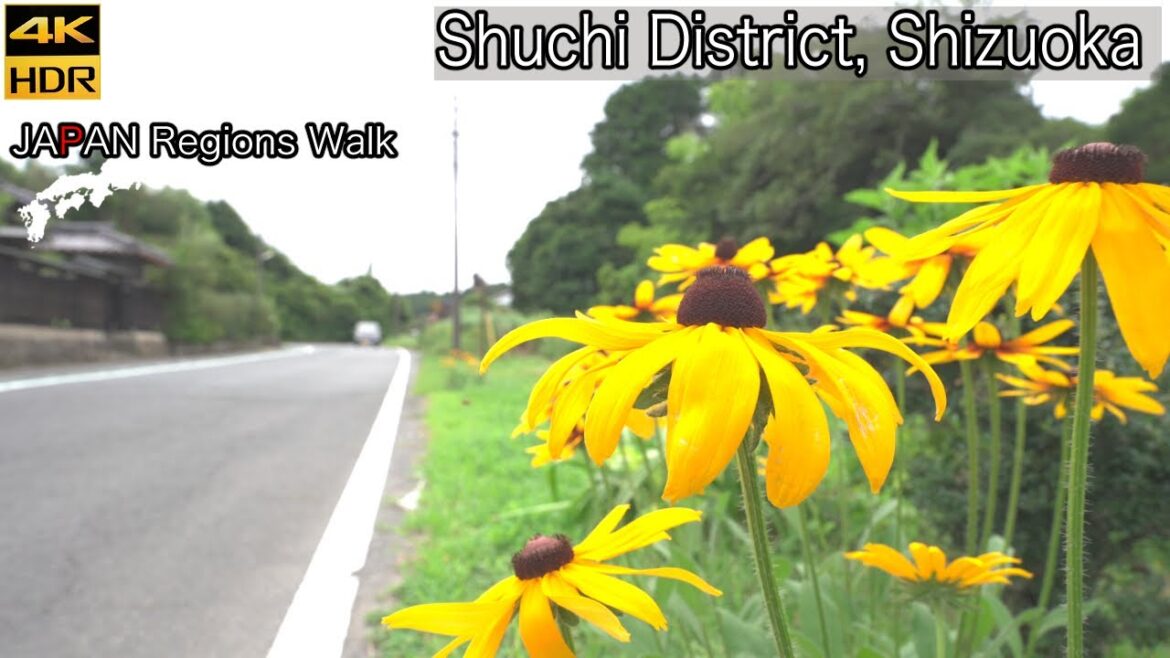 From Tōtōmi Ichinomiya Sta to Suzukinouen | Mori, Shizuoka | 4K HDR | 静岡県周智郡