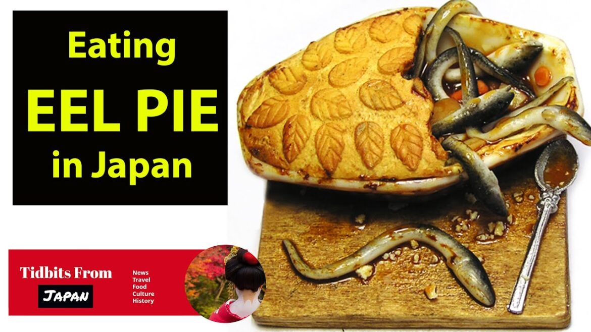 Japanese Food 101: Eating EEL PIE in Japan!