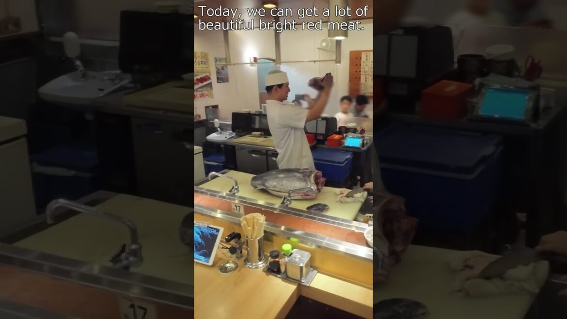 Tuna Demolition Show Asadore Kaiten Sushi Nobuchan located in S-Pulse Dream Plaza in Shimizu #short Tuna Demolition Show Asadore Kaiten Sushi Nobuchan located in S-Pulse Dream Plaza in Shimizu #short