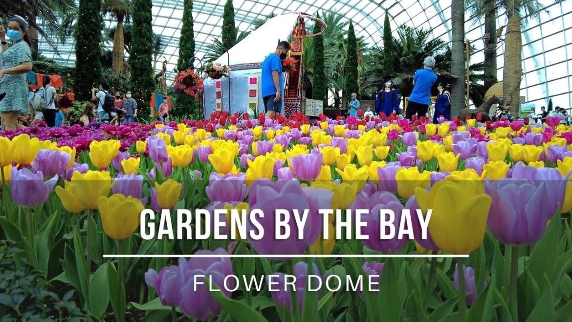 【4K】Singapore | Gardens by the bay | Flower Dome | October 2021