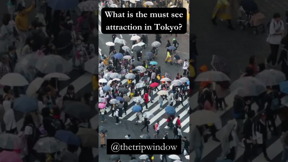 What is the must see attraction in Tokyo?  #trip #travel #fact #country #asian  #geography #tokyo