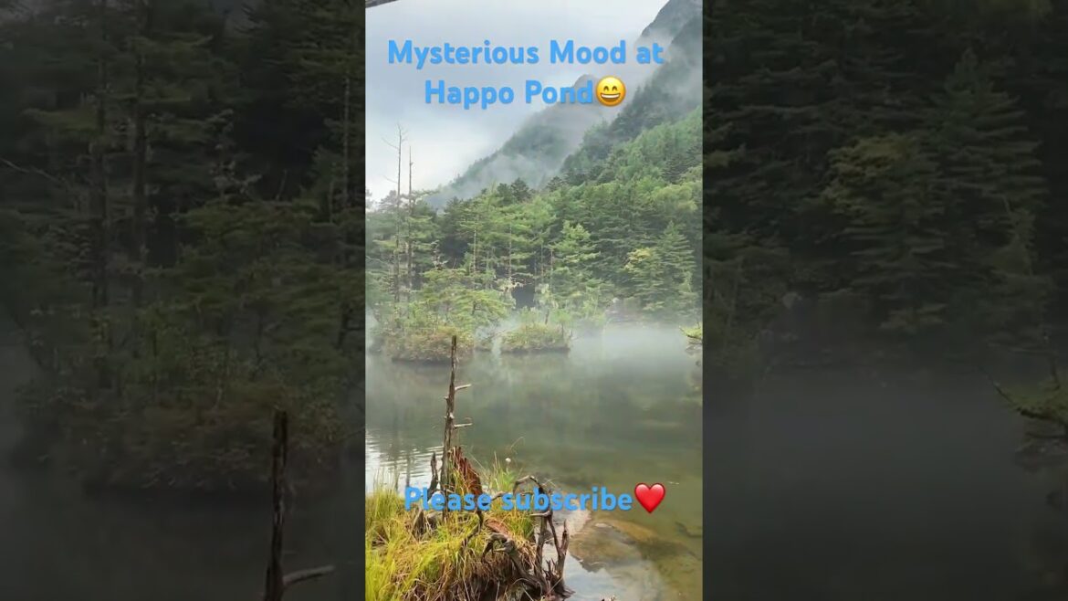 【JAPAN】Misterios Mood at Hakuba