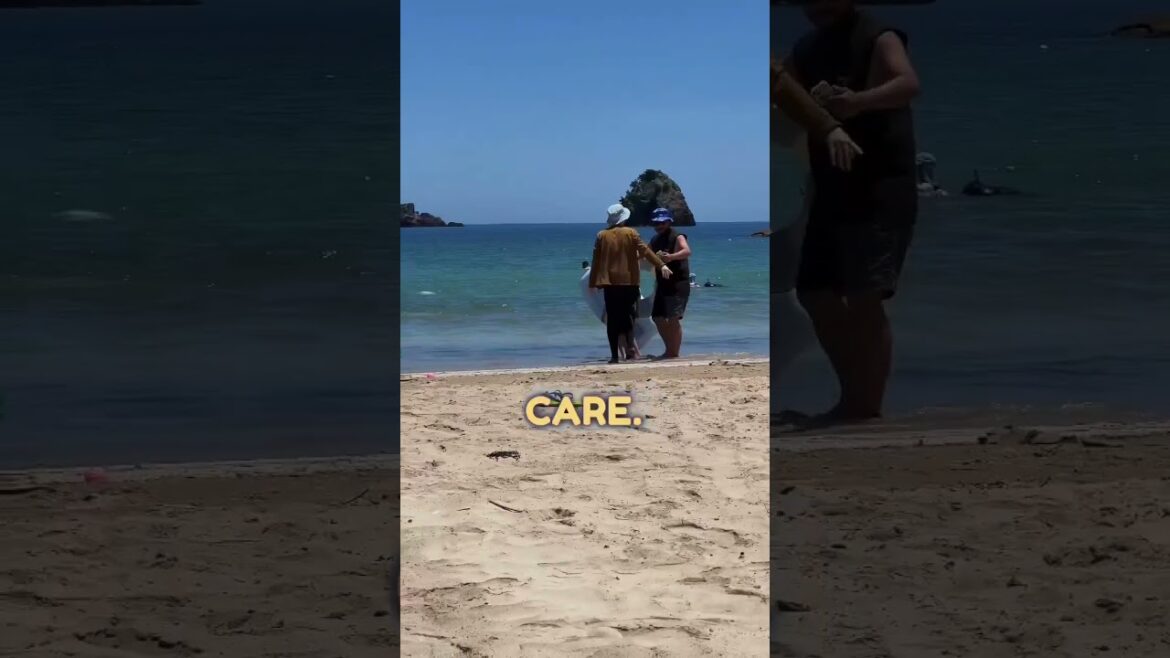 Japanese People Do What At The Beach?! π³π€―π΄ #discovertokyo #tokyo Japanese People Do What At The Beach?! π³π€―π΄ #discovertokyo #tokyo