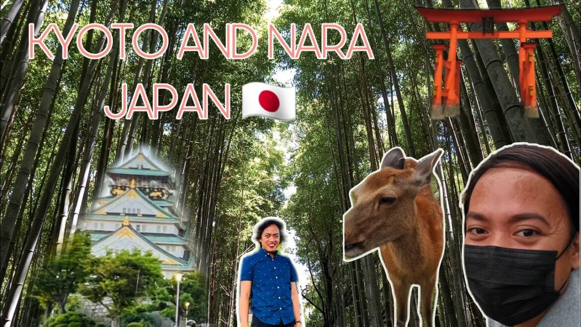 KYOTO AND NARA, JAPAN TRIP