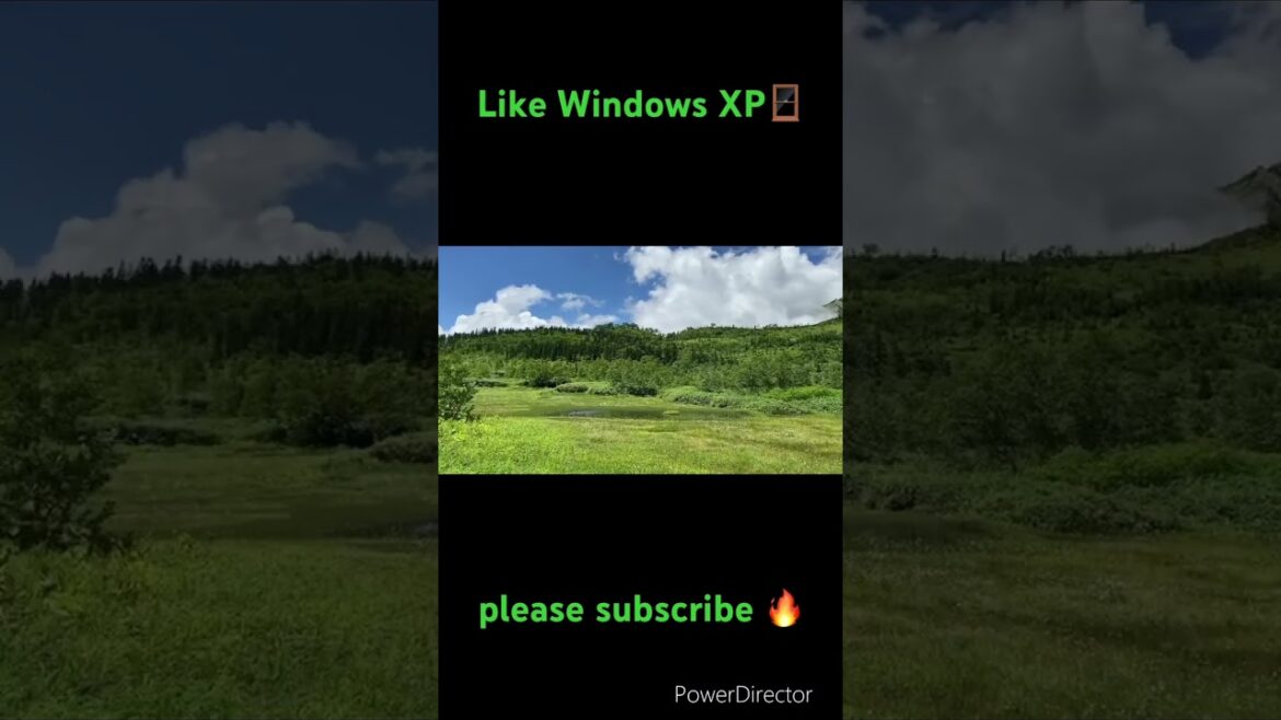 Windows XP…?