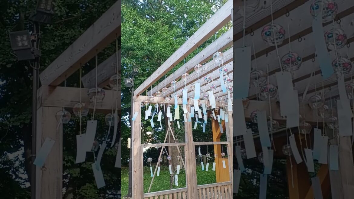 驚きの風鈴!夏のお裾分け #Shorts 驚きの風鈴!夏のお裾分け #Shorts