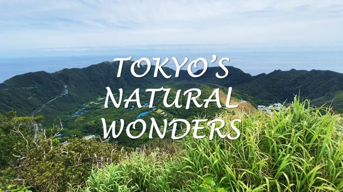 Tokyo’s Hidden Island | AOGASHIMA Tokyo's Hidden Island | AOGASHIMA