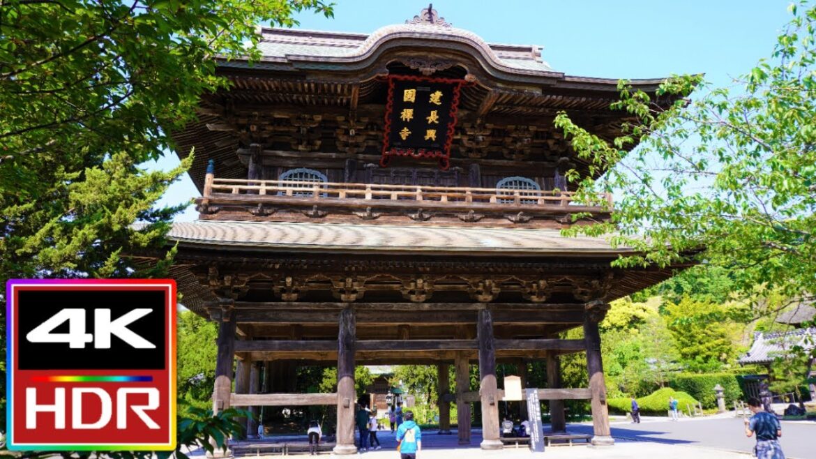 Kenchoji Temple in Kamakura Japan | 4K Walking Tour 🌺 Kenchoji Temple in Kamakura Japan | 4K Walking Tour 🌺