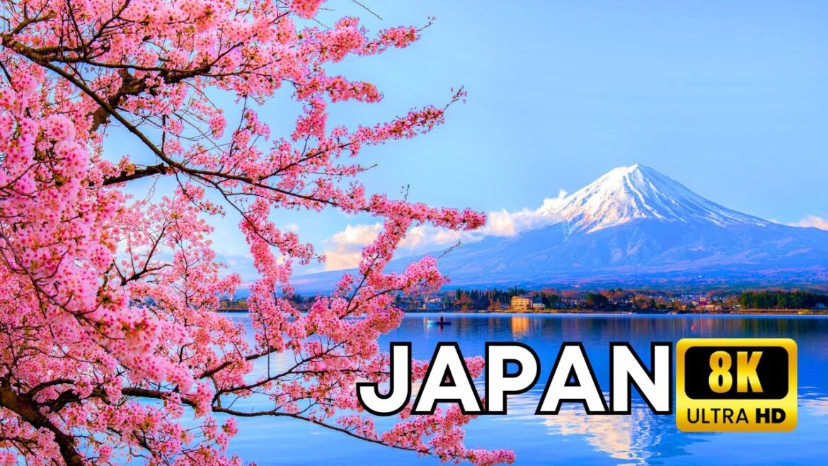 Enchanting Journey Through Japan: Unveiling the Land of the Rising Sun | Full Travel Documentary 8K Enchanting Journey Through Japan: Unveiling the Land of the Rising Sun | Full Travel Documentary 8K