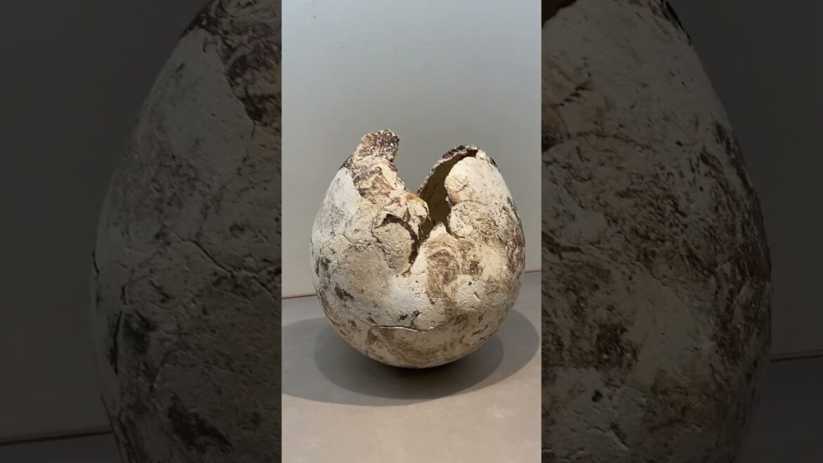 Bizen Pottery Exhibition in Kyoto - #Shorts! 🍶