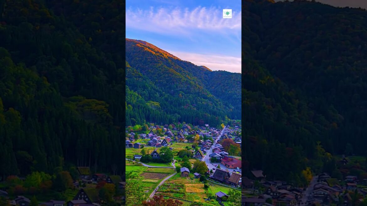 Captivating Shirakawago Discover the Enchantment of Rural Japan | #shorts Captivating Shirakawago Discover the Enchantment of Rural Japan | #shorts