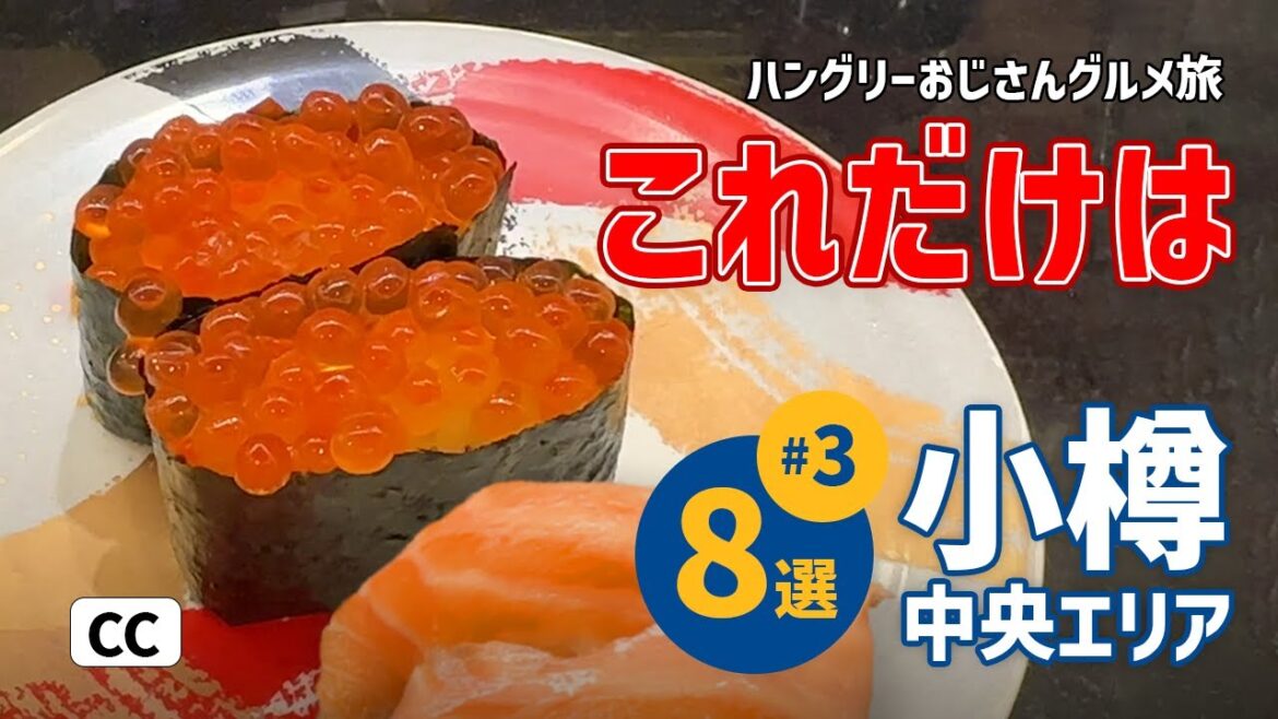 【小樽グルメ旅03】札幌ついでのオススメ/寿司/いくら/ルタオ/運河/ドーミーイン/朝食/オルゴール/観光/hokkaido/trip/vlog