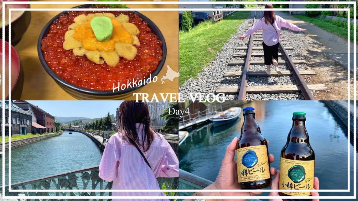 北海道新婚旅行5泊6日|4日目|小樽散策 海鮮丼 星野リゾート グルメ紹介 北海道新婚旅行5泊6日|4日目|小樽散策 海鮮丼 星野リゾート グルメ紹介