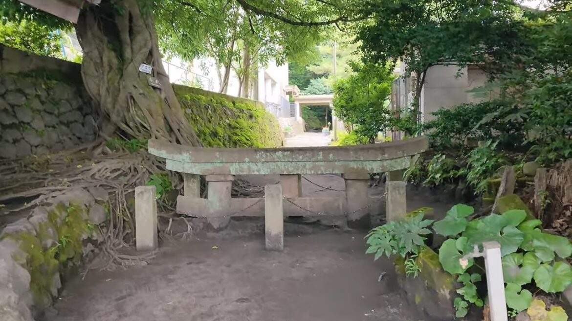 【MIR 的日常角度】🎒旅遊歷🎒黒神埋没鳥居(Black God Buried Torii) 【MIR 的日常角度】🎒旅遊歷🎒黒神埋没鳥居(Black God Buried Torii)