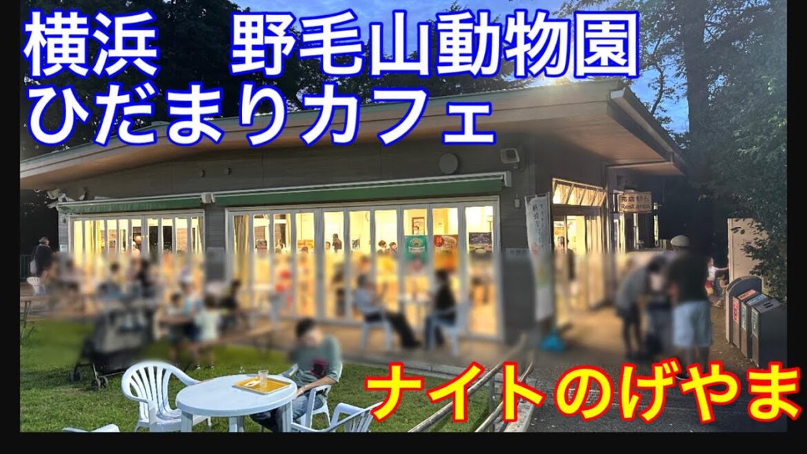 【野毛山動物園の夜】ナイトのげやまに行って来ました
