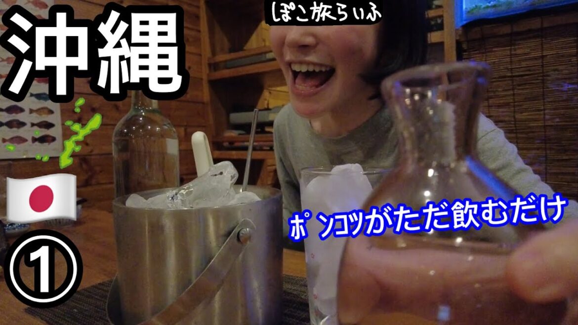 那覇ぽんこつ旅 沖縄#1 那覇に上陸してひたすら飲む!食べる!那覇の飲食店はうまい!楽しい!優しい!さいこー!!【ぽこ旅らいふ】 那覇ぽんこつ旅 沖縄#1 那覇に上陸してひたすら飲む!食べる!那覇の飲食店はうまい!楽しい!優しい!さいこー!!【ぽこ旅らいふ】