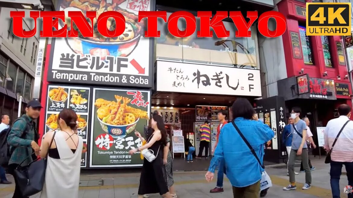 TOKYO TRAVEL 2023 - 上野東京 Ueno in Tokyo Summer Walking Tour Street People Shopping Food I August