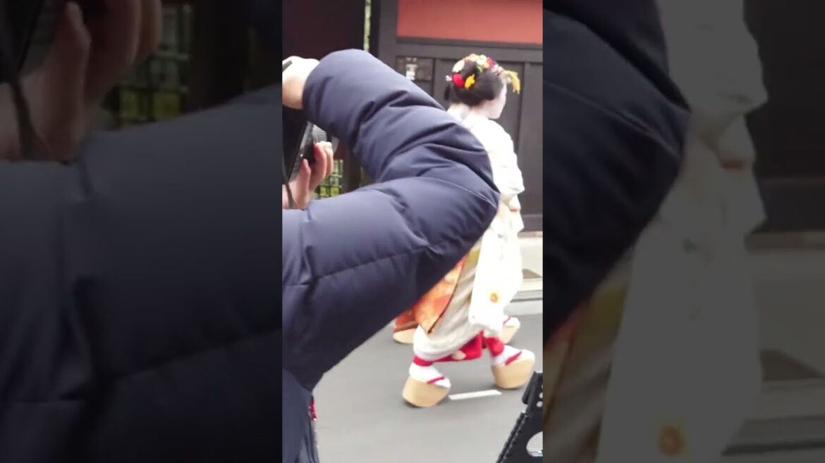 Most beautiful place in japan #travel #reality #explore #travelvlog #Shorts