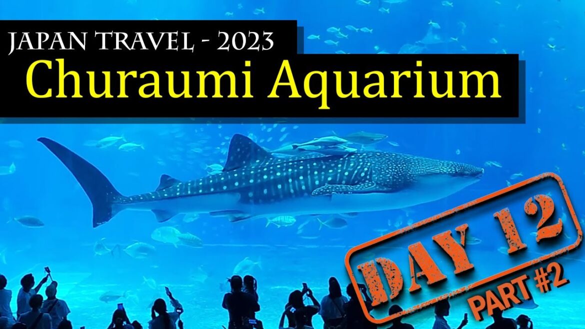 Okinawa Churaumi Aquarium  🐋🐠🦈🐢  Largest Aquarium in Japan!