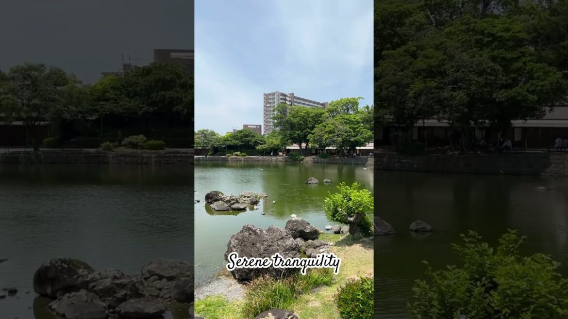 Nature’s timeless beauty. Part2 #japan #shorts