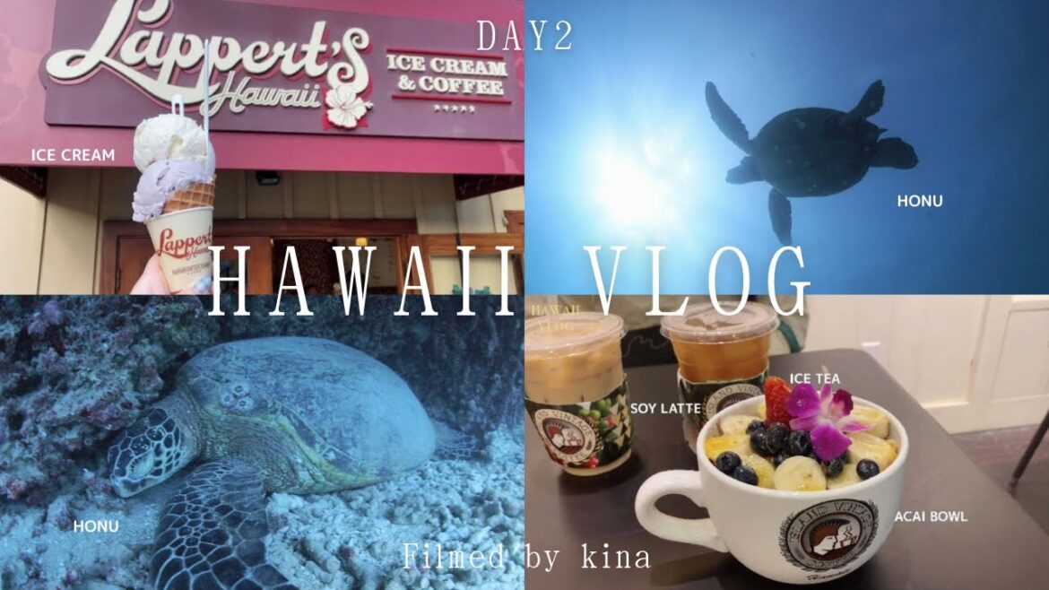 2023.5 HAWAII VLOG DAY2|体験ダイビング🤿 in Waikiki|アラモアナセンターでショッピング🛍️ 2023.5 HAWAII VLOG DAY2|体験ダイビング🤿 in Waikiki|アラモアナセンターでショッピング🛍️