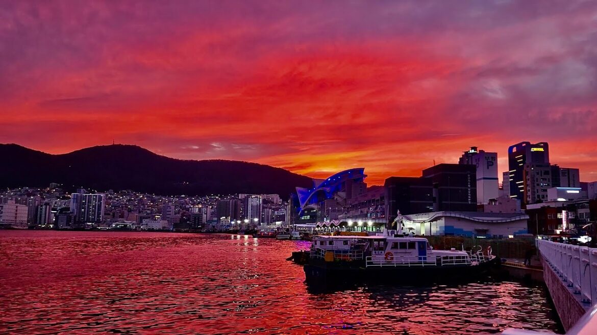 Cruise tour around Busan port, Busan city, South Korea