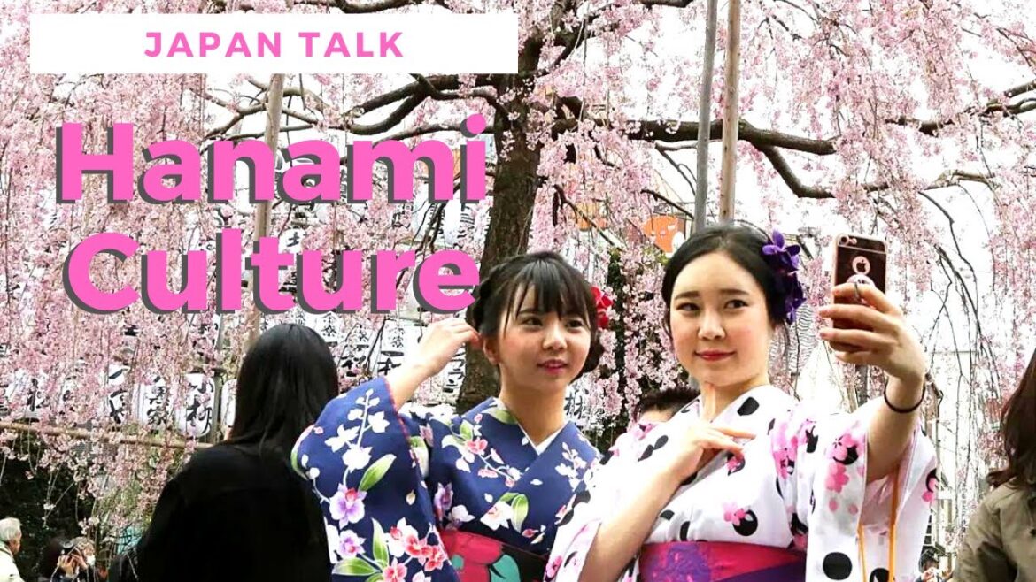 Japan Talk – Hanami Culture (Cherry Blossom Culture in Japan) Japan Talk - Hanami Culture (Cherry Blossom Culture in Japan)