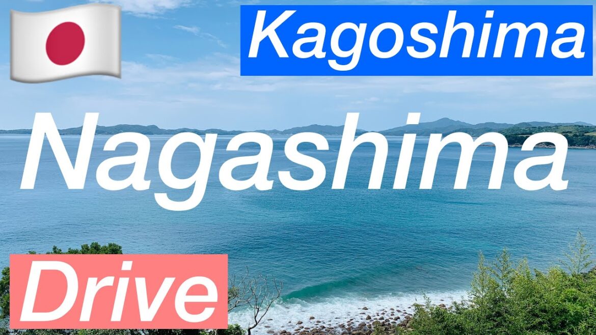 🇯🇵Japan/Kagoshima/ Drive/ Around Nagashima / Izumi Crane Migratory Ground