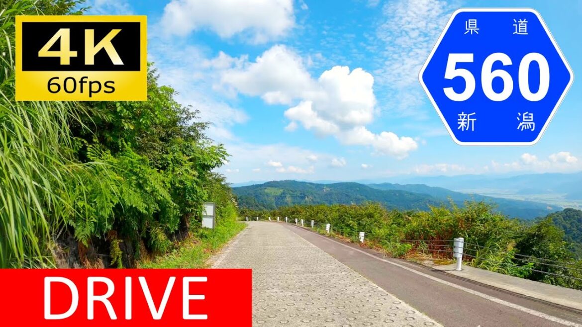 【Driving in Japan】Niigata Prefectural Route 560/478: Tazawa - Muikamachi（車載動画 新潟県道560/478号）[4K]
